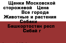 Щенки Московской сторожевой › Цена ­ 35 000 - Все города Животные и растения » Собаки   . Башкортостан респ.,Сибай г.